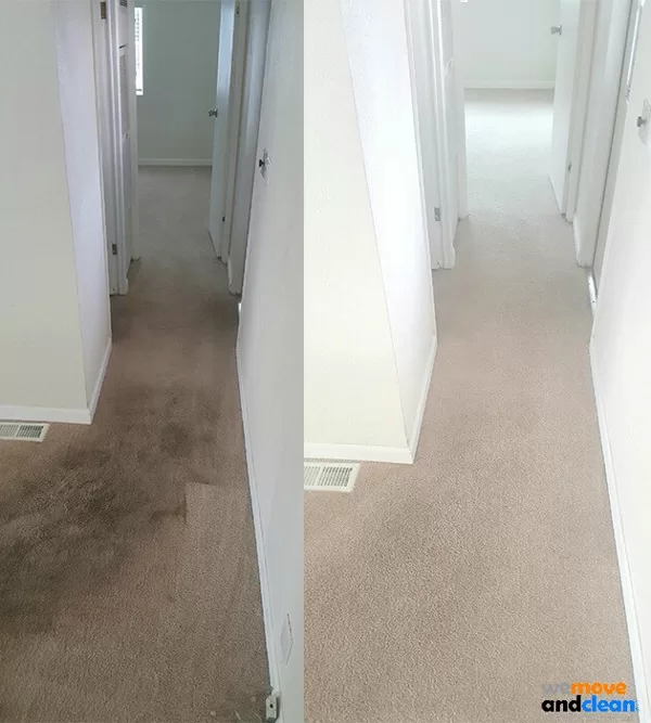 Before / After